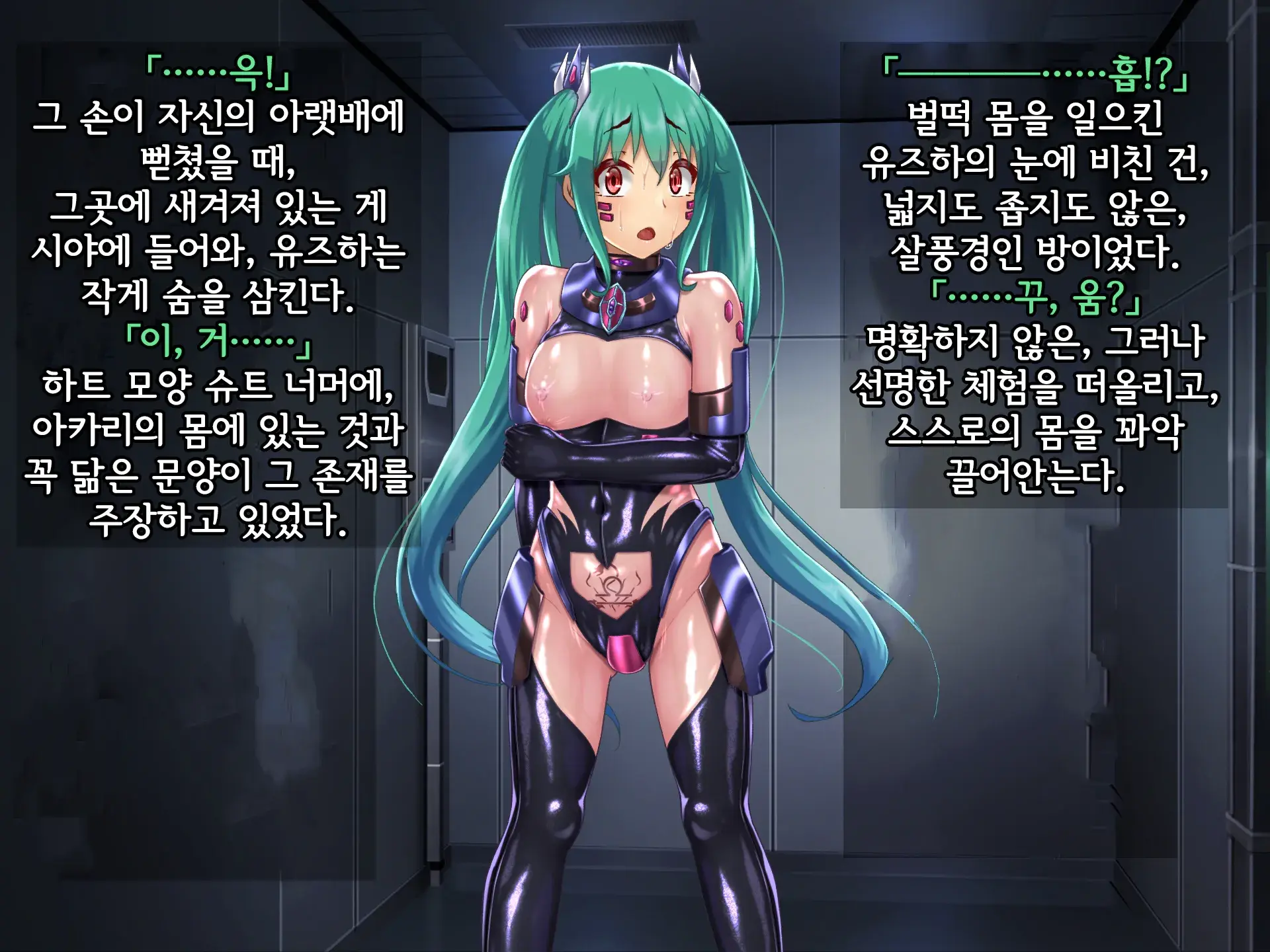 Kisou Seiki Asteria 2 Gyakushin No Gyaida En 휘장성희 아스텔리아2